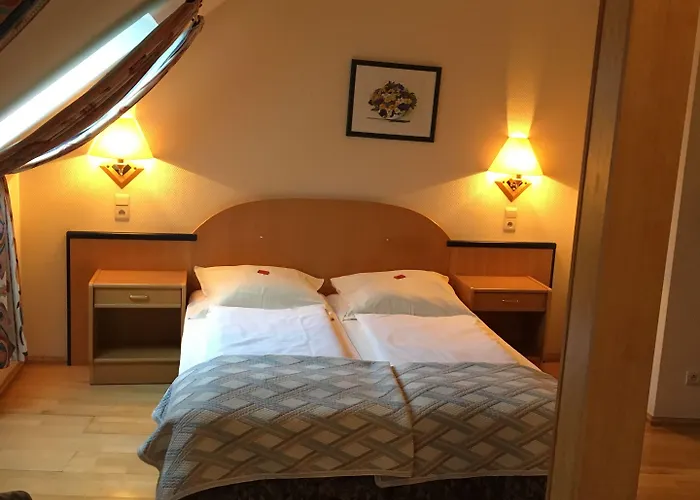 Hotel Hotel-restaurant Zum Onkel Jonathan 3*