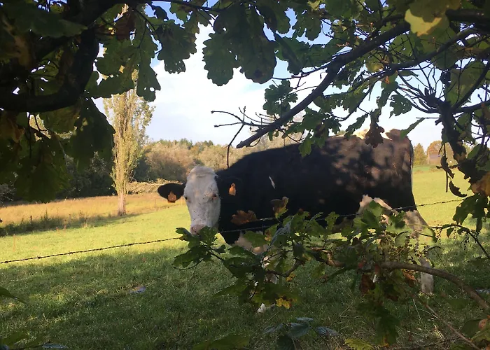 Hotel Hotel-restaurant Zum Onkel Jonathan 3*